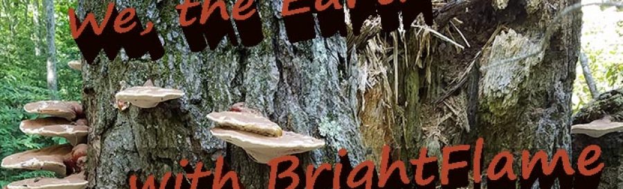 Witchcamp 2021 workshop: We, the Earth