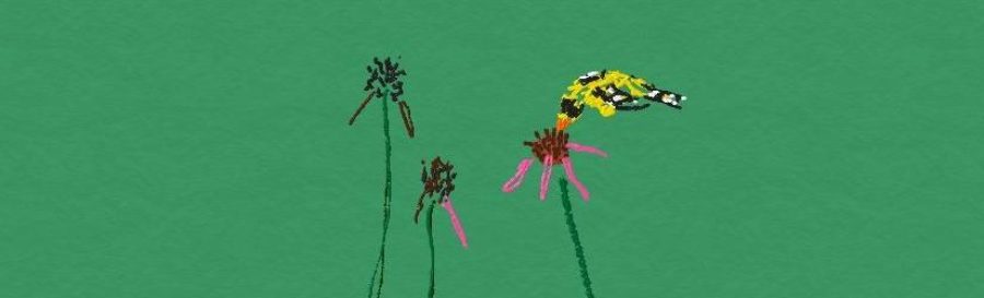 goldfinch plucking a seed from an echinacea flower that is past its prime bloom