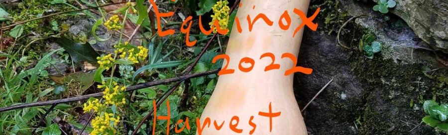 butternut squash near goldenrod; words: "Equinox 2022, Harvest Blessings" - BrightFlame