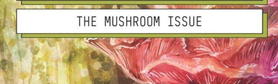 cover of Optopia mushroom issue with portion of "mushroom forest" painting by Sonecta showing canine near giant fungi