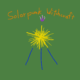 Solarpunk Influence on my Craft