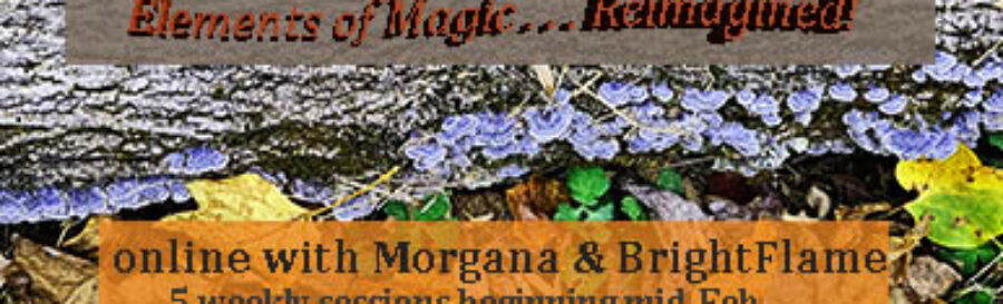 grey-toned log framed in blue Turkey Tail mushrooms sits on a bed of fallen brown and gold leaves. Text: Elements of Magic...Reimagined! online with Morgana & BrightFlame. 5 weekly sessions beginning mid-Feb. Sliding scale US$80 - 190.