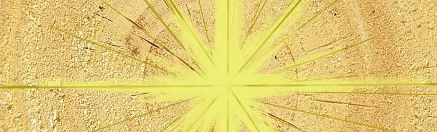 A radiating yellow star pattern in center of tree rings